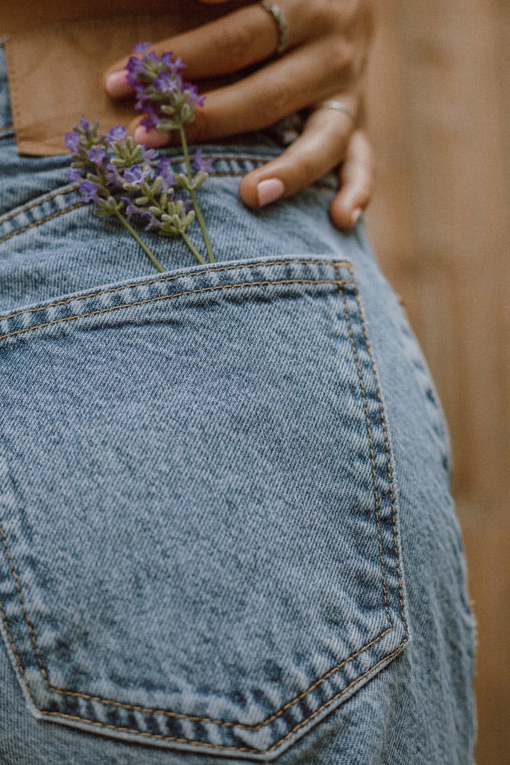 A few lavender plants in a jean pocket.